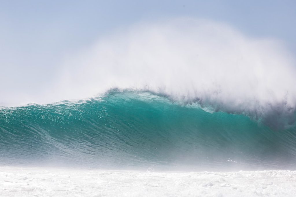 Wave Pricing 2026 - Wave Pricing 2026: Is It Worth the Cost for Small